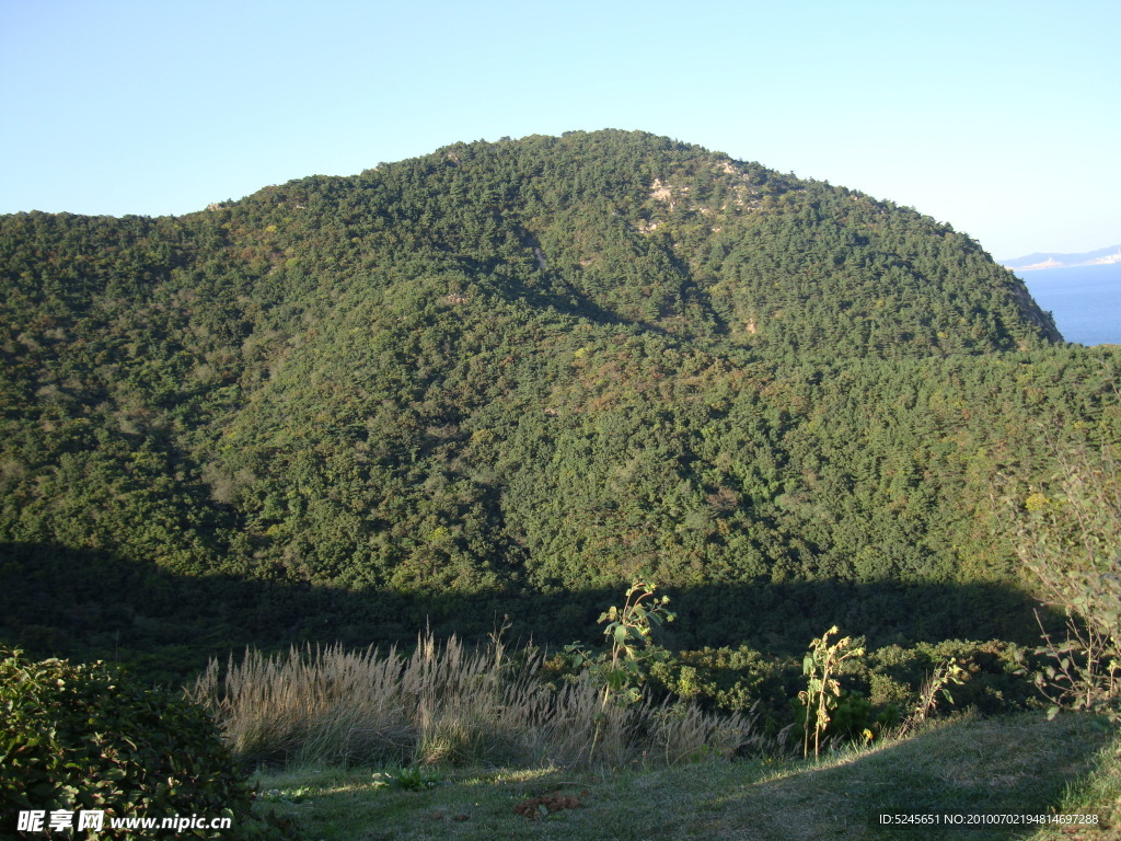 风景 山 树