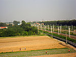 田园风光