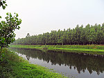 小河丽影