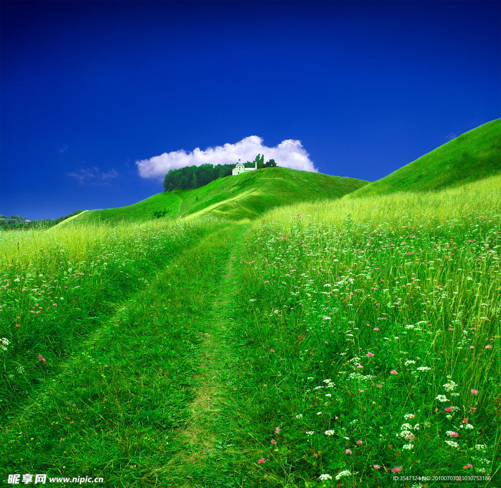 背景素材 草地 天空