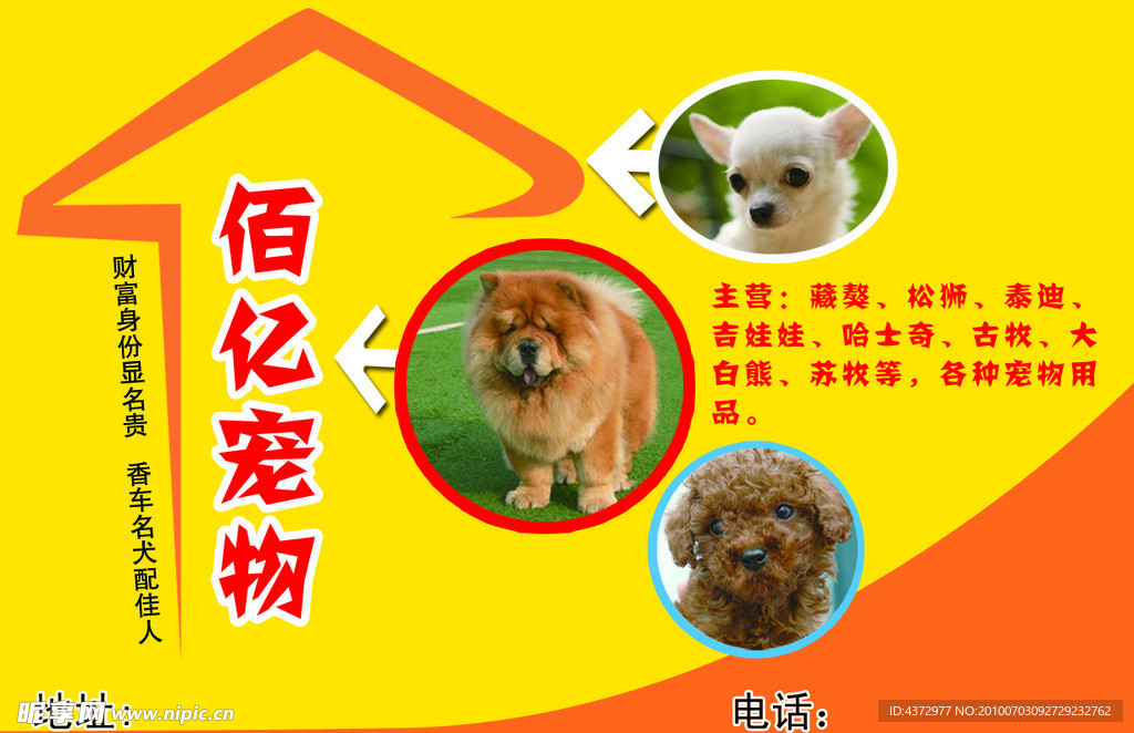 宠物店