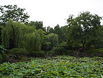 风景如画