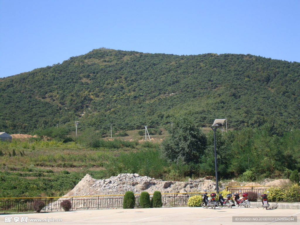 风景 山 树 天空