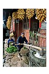 农家乐