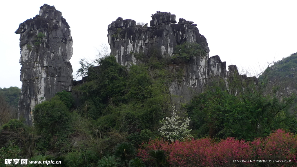 驼峰