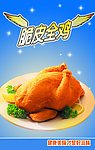 童子鸡灯片