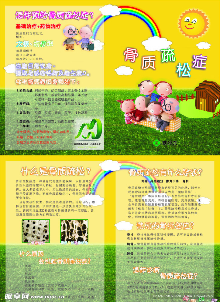 骨质疏松症宣传单