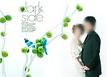 2010年最新婚纱模板