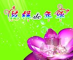 花样的年华