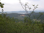 上山