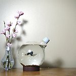 节能灯泡