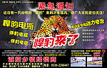 焊豹电瓶