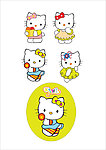 ＫＴ猫 猫