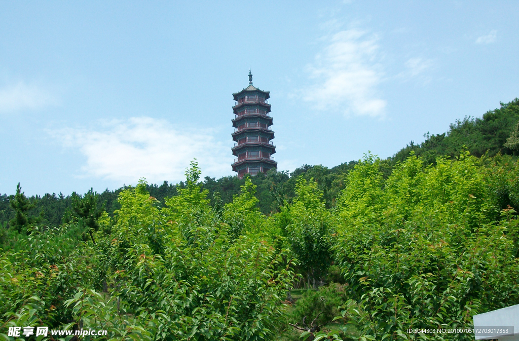 宝塔入云梢