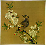 桃花山鸟图