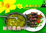酸菜