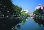宁波 卖鱼河