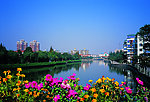 宁波 翠柏河