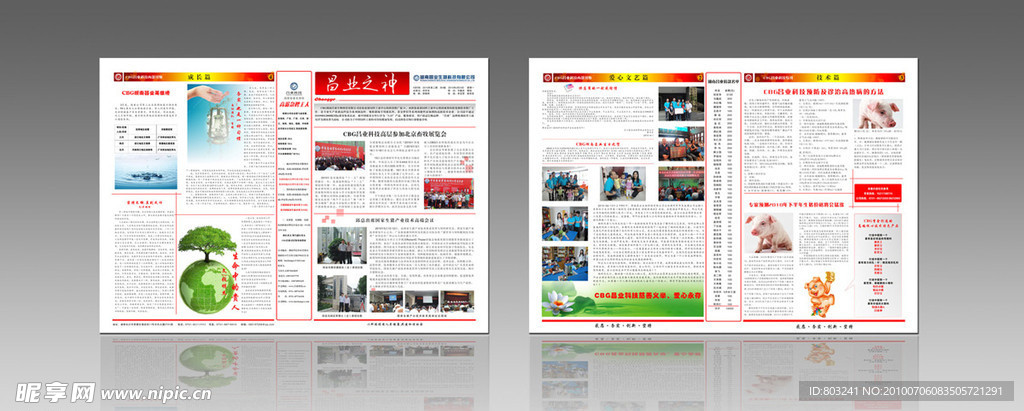 企业报纸