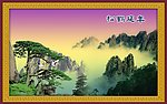 黄山景观迎客松