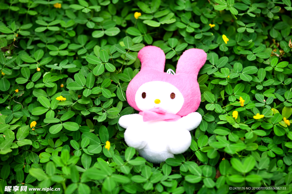 草地上的玩具兔