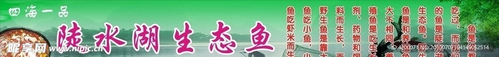 生态鱼