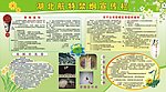禁烟宣传栏