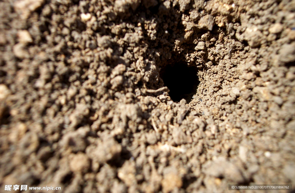 蚂蚁洞