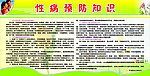 性病预防知识