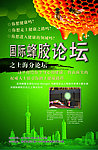 国际蜂胶论坛
