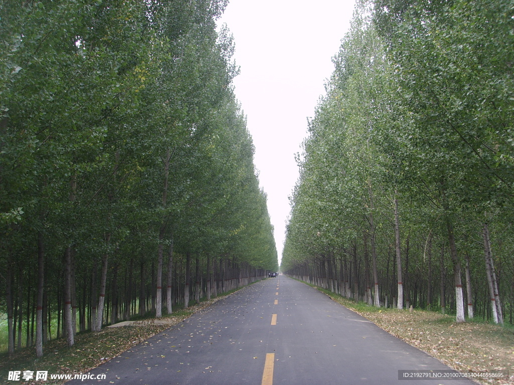 小路