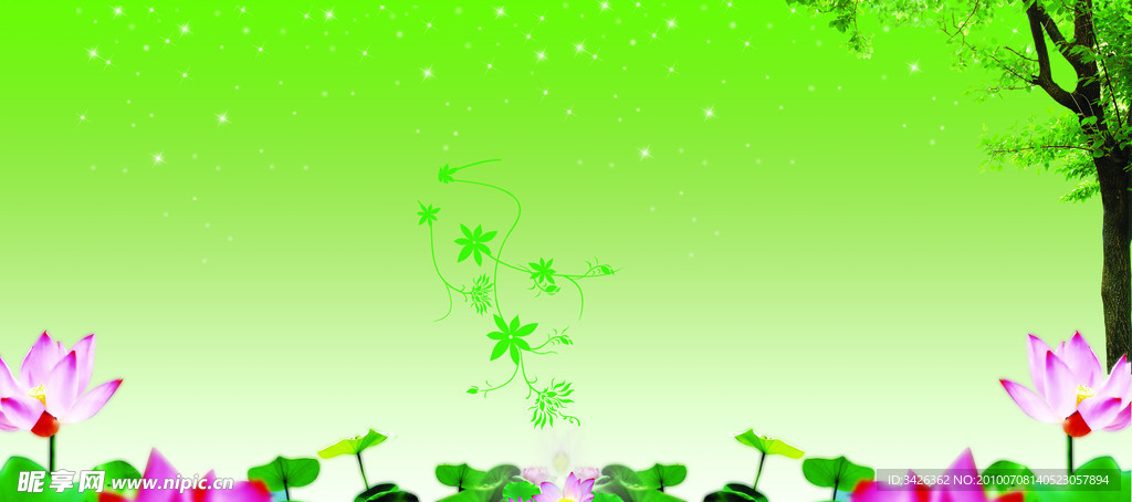 荷花