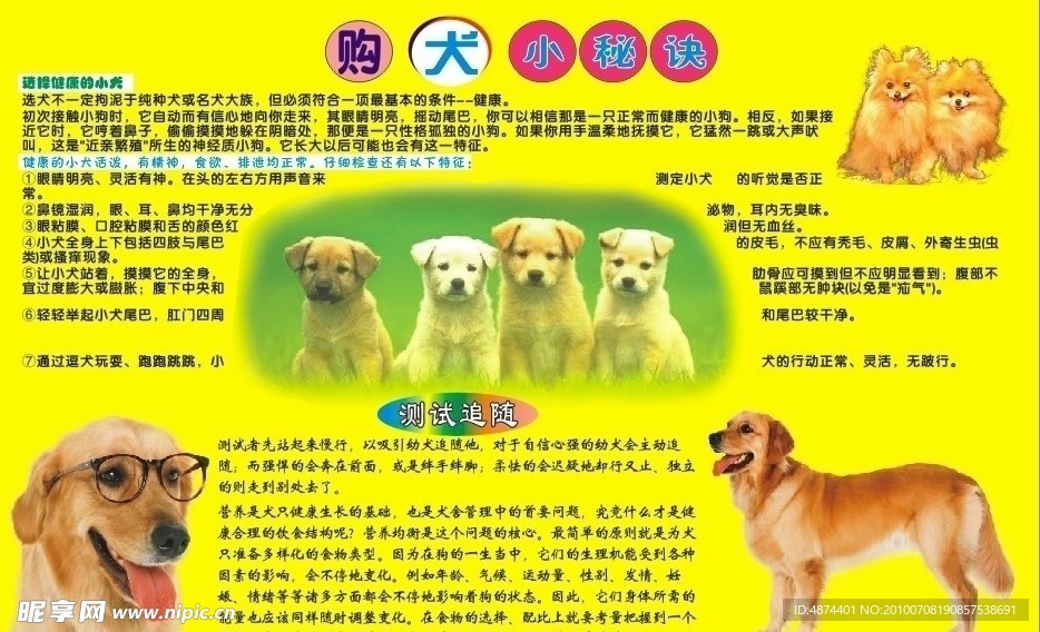 购犬小秘诀