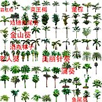 棕榈