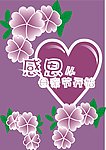 感恩从母亲节开始