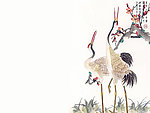 中国风 鹤与梅