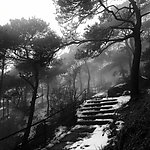 冬季美景