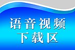 语音视频下载区