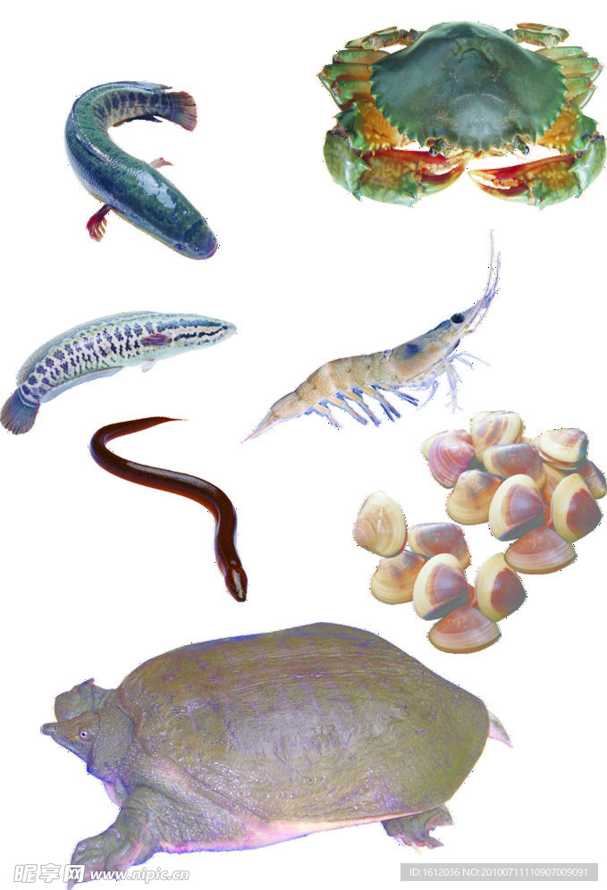 海鲜河鲜