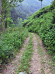 山间小路