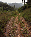 山间小路