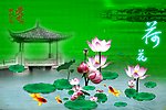 荷花