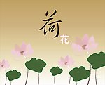荷花