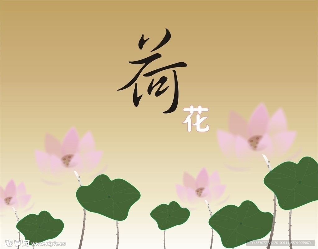 荷花