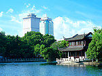 宁波月湖公园