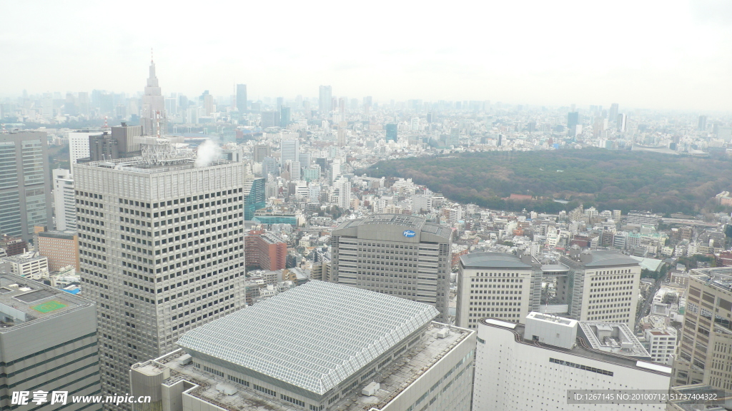 城市