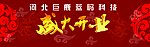 开业庆典