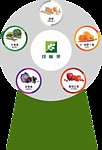 游戏牌