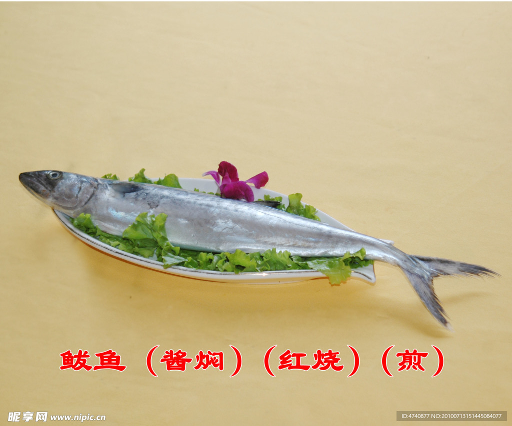 鲅鱼（酱焖）（红烧）（煎）