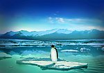 冰上的企鹅（分层不精细）